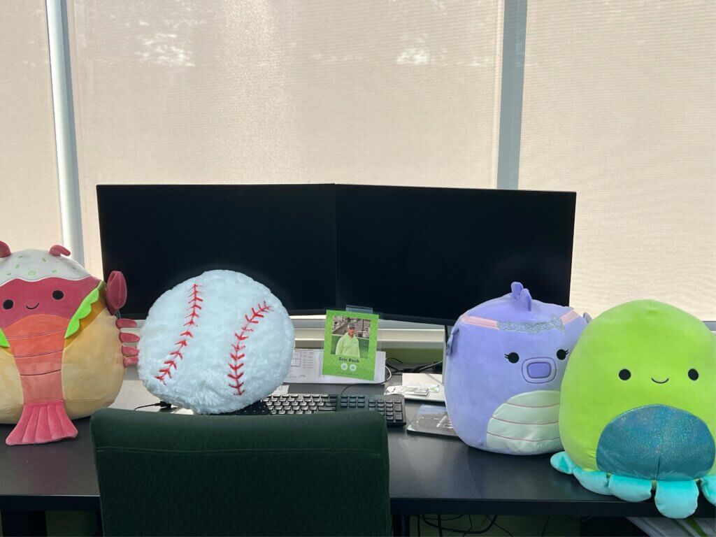 Choice One surveyor desk covered in stuffed animals